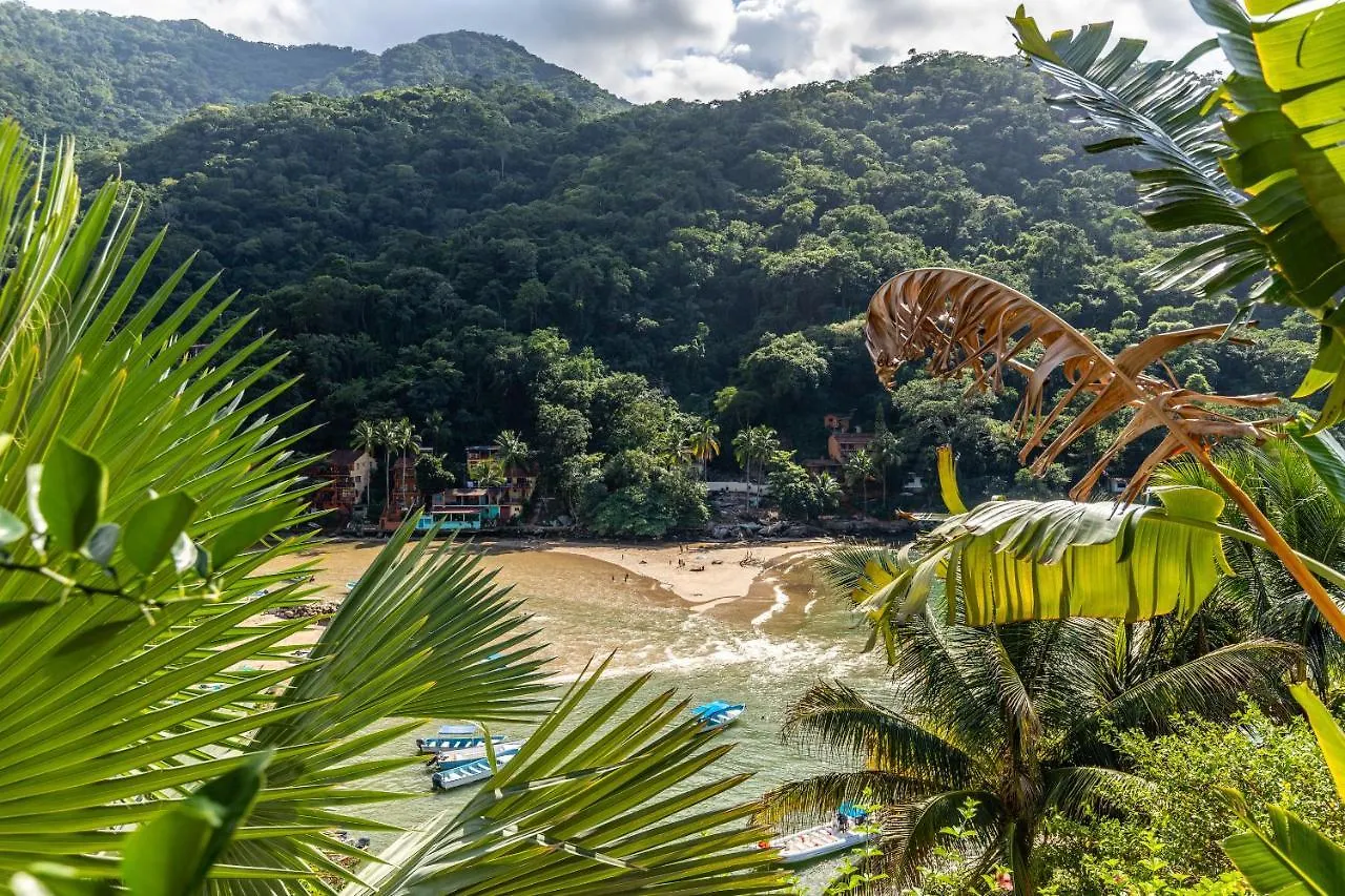 South Shore Villa Armonia Luxury Boutique Puerto Vallarta Inn