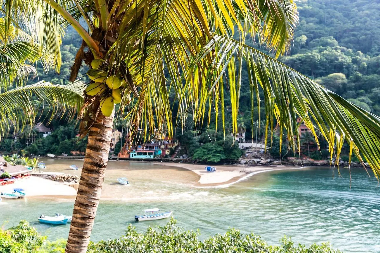 South Shore Villa Armonia Luxury Boutique Puerto Vallarta Mexico