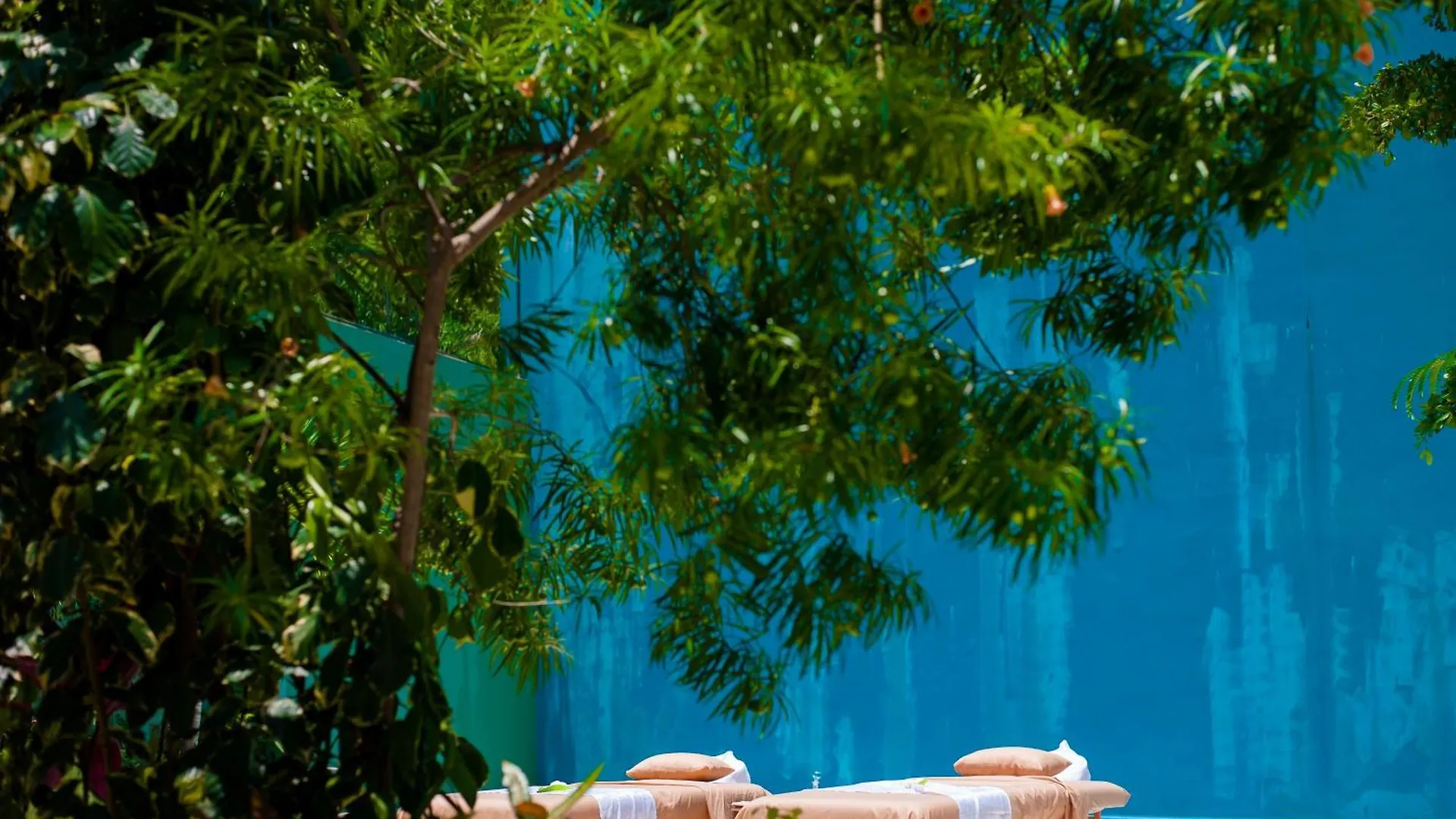 Inn South Shore Villa Armonia Luxury Boutique Puerto Vallarta Mexico